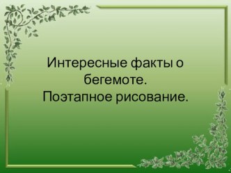 Интересные факты о бегемоте. Поэтапное рисование.