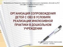 Презентация Организация сопровождения детей с ОВЗ в условиях реализации инклюзивной практики в дошкольном учреждении