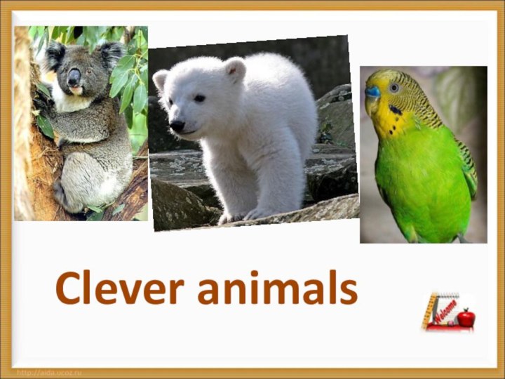 Clever animals