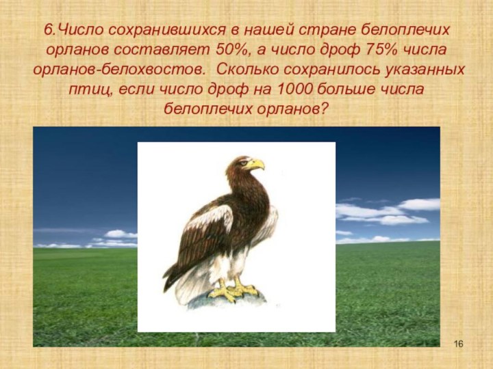 6.Число сохранившихся в нашей стране белоплечих орланов составляет 50%, а число дроф