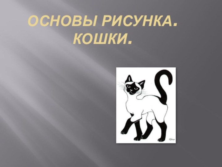 ОСНОВЫ РИСУНКА.  КОШКИ.