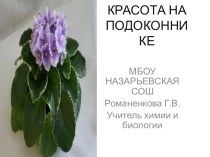 Красота на подоконнике (7 класс)