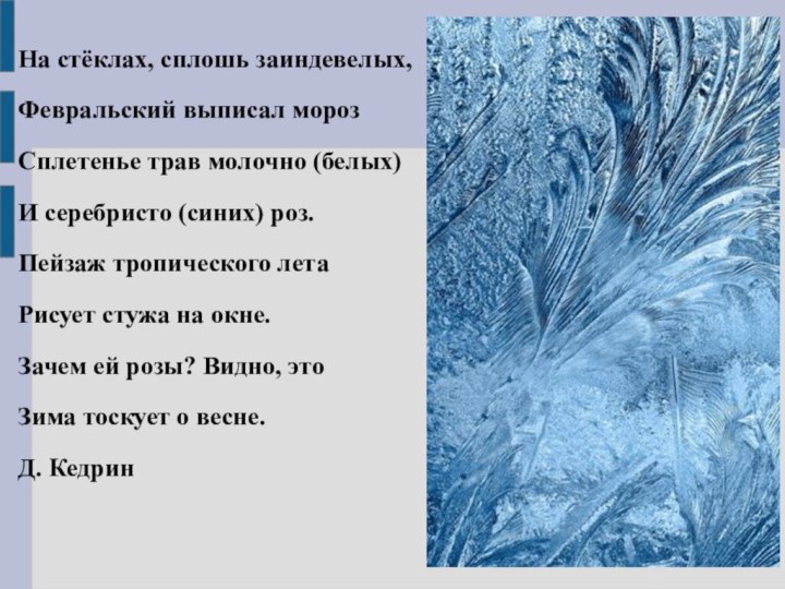 На стёклах, сплошь заиндевелых,Февральский выписал мороз Сплетенье трав молочно (белых) И серебристо