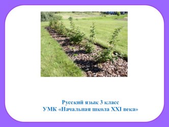 Презентация по русскому языку Работа со словарным словом малина (3 класс)