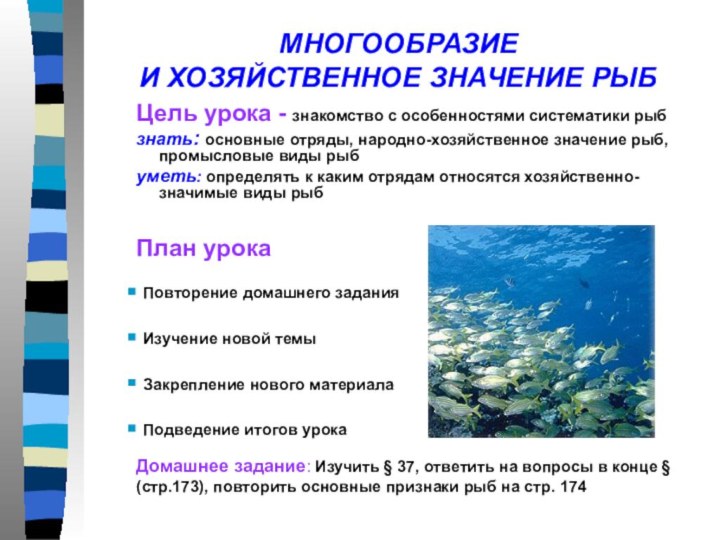 План урока Повторение домашнего задания Изучение новой темы Закрепление нового материала Подведение