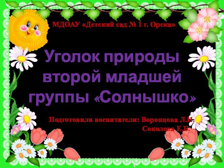 Уголок природы  второй младшей группы «Солнышко»Подготовили воспитатели: Воронцова Л.И.