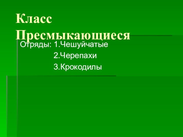 Класс ПресмыкающиесяОтряды: 1.Чешуйчатые        2.Черепахи