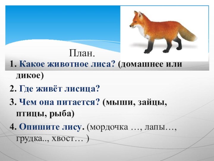 1. Какое животное лиса? (домашнее или дикое)2. Где живёт лисица? 3.