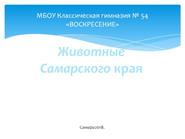 МБОУ Классическая гимназия № 54 «ВОСКРЕСЕНИЕ»Животные Самарского краяСамара2018.