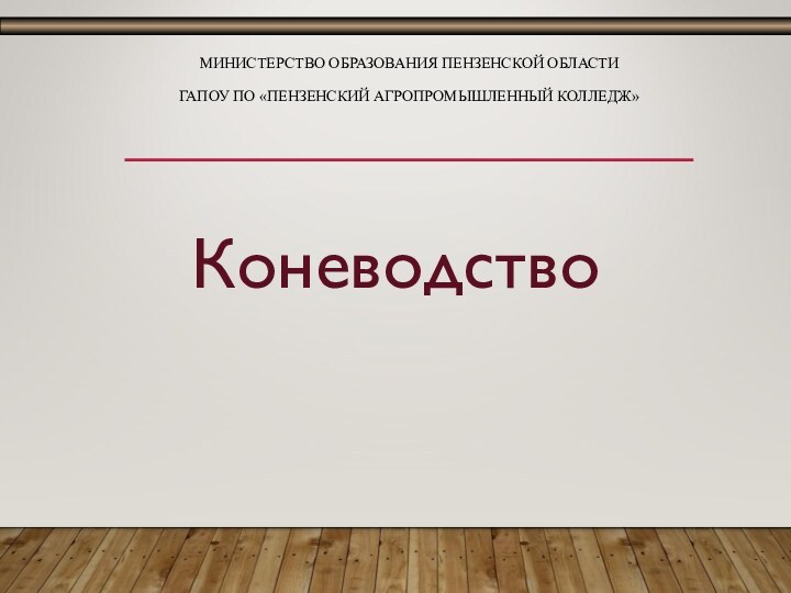 МИНИСТЕРСТВО ОБРАЗОВАНИЯ ПЕНЗЕНСКОЙ ОБЛАСТИ  ГАПОУ ПО «ПЕНЗЕНСКИЙ АГРОПРОМЫШЛЕННЫЙ КОЛЛЕДЖ»Коневодство