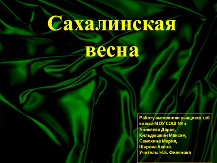 Сахалинская весна Работу выполнили учащиеся 11б класса МОУ СОШ № 1Аникеева Дарья,Кильдюшкин