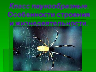 Урок: Класс Паукообразные. Особенности строения и жизнедеятельности (презентация)