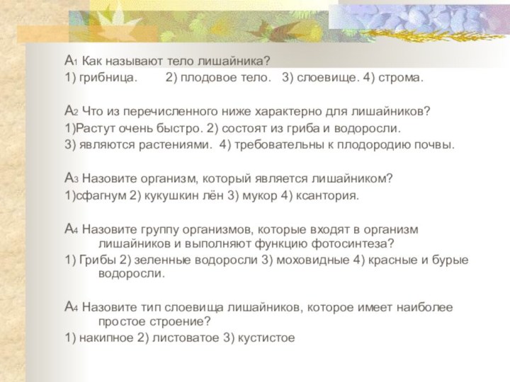 А1 Как называют тело лишайника?1) грибница.    2) плодовое тело.