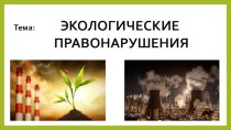 Презентация по экологии на тему Экологические правонарушения