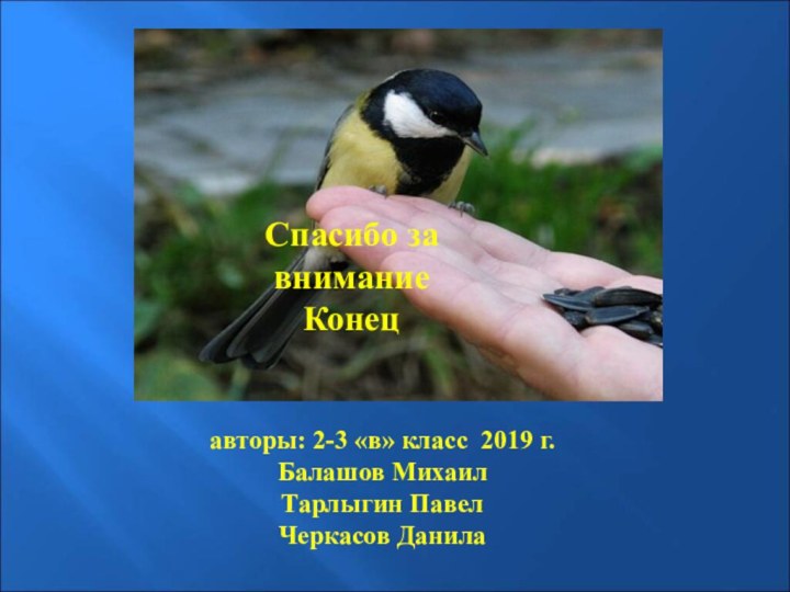 авторы: 2-3 «в» класс 2019 г.Балашов Михаил Тарлыгин ПавелЧеркасов ДанилаСпасибо за вниманиеКонец