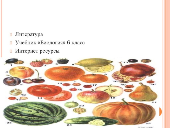 ЛитератураУчебник «Биология» 6 классИнтернет ресурсы