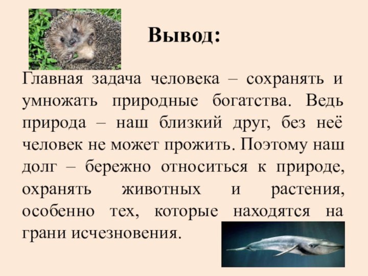 Вывод:Главная задача человека – сохранять и умножать природные богатства. Ведь природа –