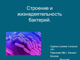 Презентация по биологии на тему строение и жизнедеятельность клетки