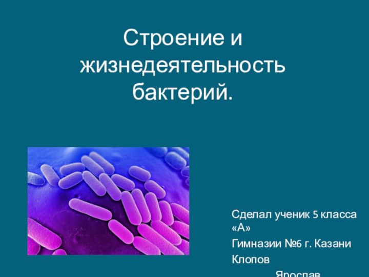 Строение и жизнедеятельность бактерий.Сделал ученик 5 класса «А»Гимназии №6 г. КазаниКлопов