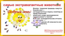 Презентация по биологии .Самые экстравагантные животные.7 класс.