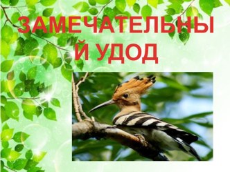 Замечательный удод презентация к уроку (1, 2, 3, 4 класс)