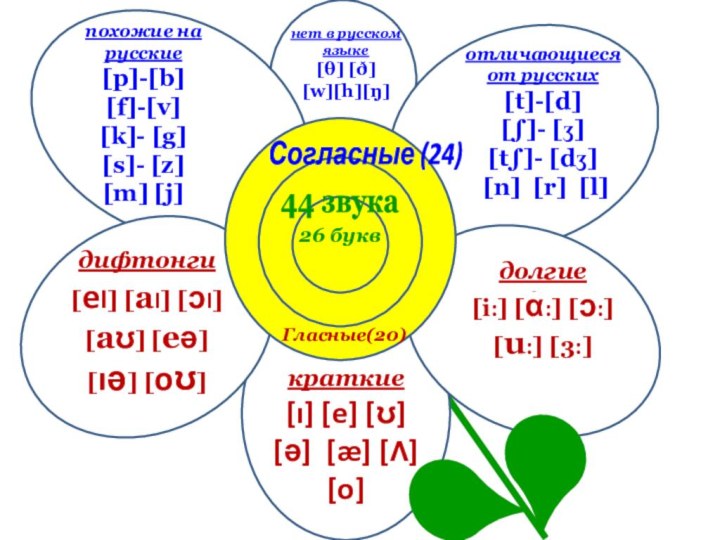 26 букв44 звука Согласные (24)Гласные(20)краткие[ı] [e] [ʊ][ə] [æ] [Ʌ] [o] долгие[і:] [ἀ:]