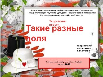 Презентация Такие разные поля презентация к уроку по конструированию, ручному труду (старшая группа)