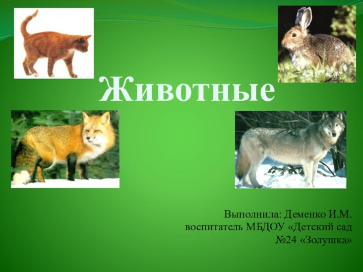 ЖивотныеВыполнила: Деменко И.М.воспитатель МБДОУ «Детский сад№24 «Золушка»