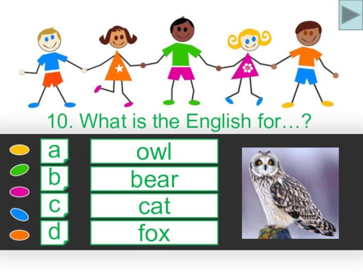 10. What is the English for…?aowlbcdbearcatfox