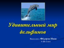 Презентация Удивительный мир дельфинов презентация к уроку по окружающему миру (4 класс) по теме