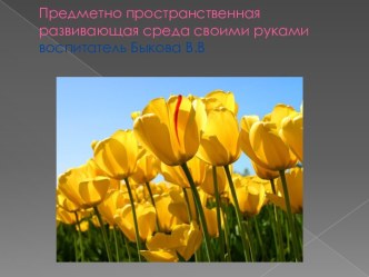 предметно пространственная развивающая среда презентация к занятию (младшая группа)