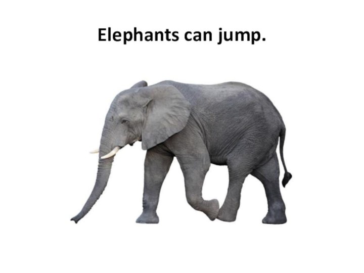 Elephants can jump.