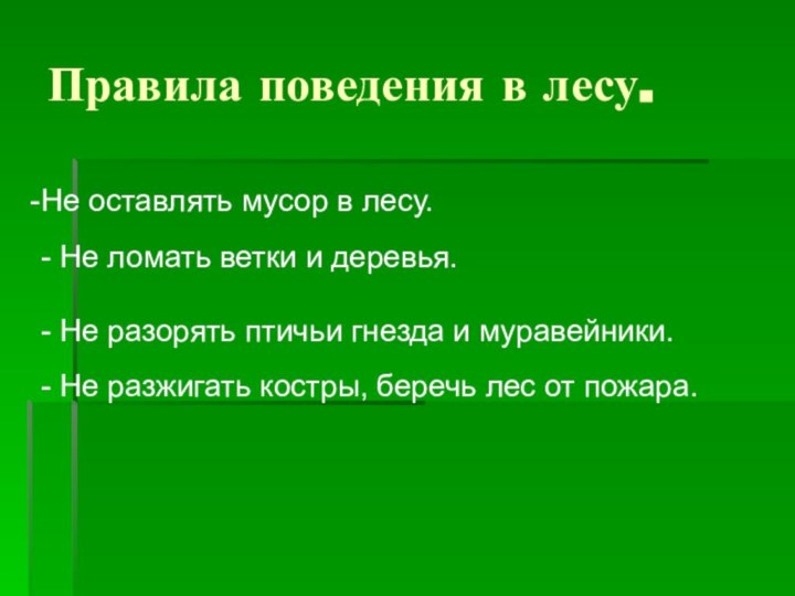 Правила поведения в лесу.Не оставлять мусор в лесу.  - Не ломать ветки