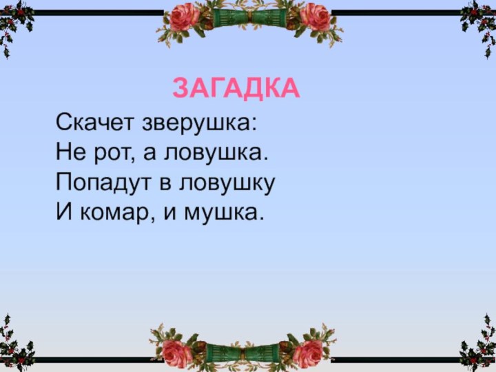 ЗагадкаСкачет зверушка:Не рот, а ловушка.Попадут в ловушку И комар, и мушка.