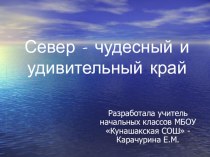 Урок окружающего мира 1 класс Север – удивительный и чудесный край или где живут белые медведи? методическая разработка по окружающему миру (1 класс)