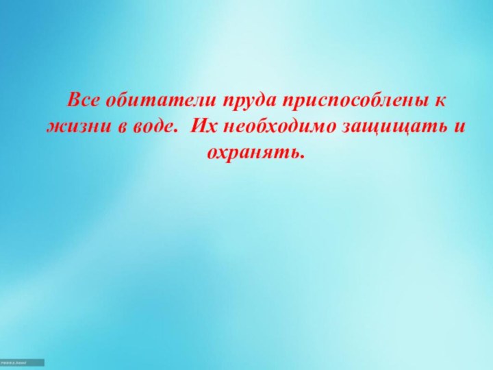 Все обитатели пруда приспособлены к жизни в воде. Их необходимо защищать и охранять.