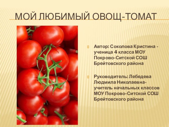 Мой любимый овощ-томатАвтор: Соколова Кристина -ученица 4 класса МОУ Покрово-Ситской СОШ Брейтовского
