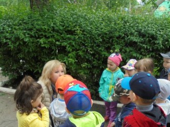 Открытое занятие по экологическому воспитанию. Посвящение в эколята презентация к уроку (младшая группа)