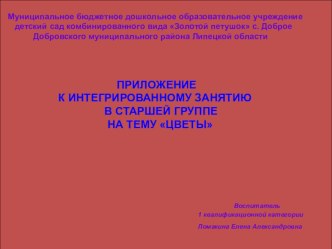 Презентация Радуга на лугу. презентация к уроку (средняя группа) по теме