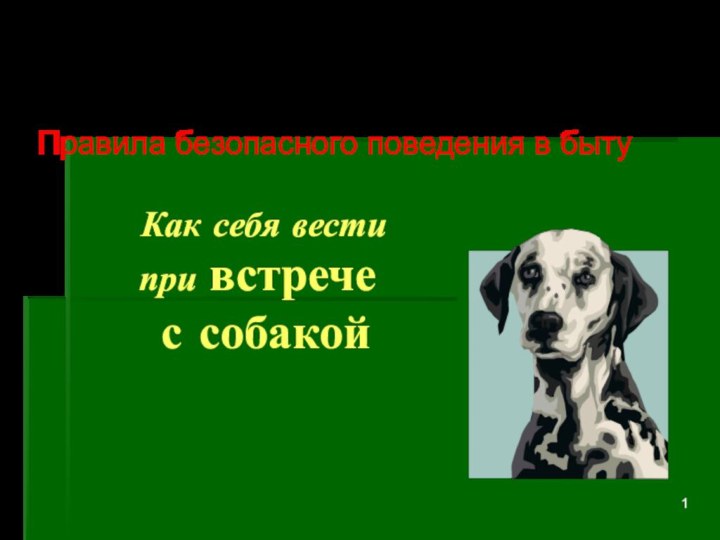 Как себя вести при встрече  с собакой Правила безопасного поведения в быту