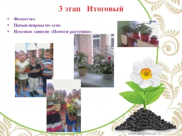 3 этап  Итоговый ФотоотчетПапки-ширмы по темеИтоговое занятие «Помоги растению»
