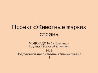 Проект Животные жарких стран презентация к уроку по окружающему миру (старшая группа) по теме