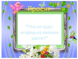 Проект Что за чудо-огород на окошке растет в старшей группе презентация к уроку (средняя группа)