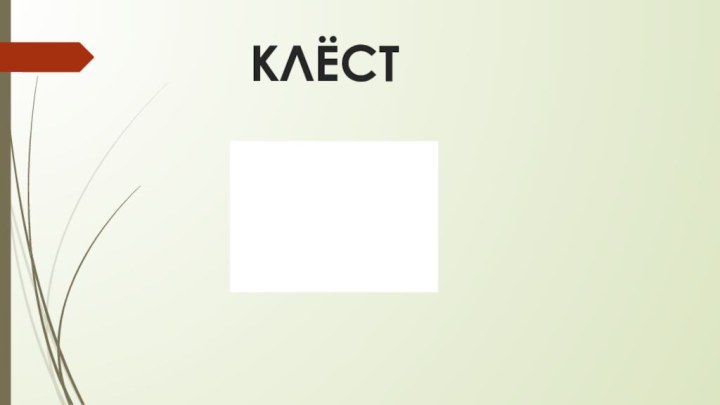 КЛЁСТ