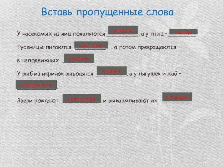 Вставь пропущенные словаУ насекомых из яиц появляются _________, а у птиц –________.Гусеницы