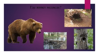 Карандашова Анастасия Е-21 № 3 материал по теме