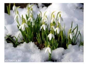 Организация деятельности творческих мастерских по изготовлению коллективной композиции Весенняя картина план-конспект занятия (старшая группа)