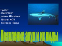 Презентация Появление акул и их виды творческая работа учащихся по окружающему миру