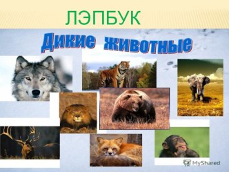 Лэпбук Дикие животные презентация к уроку по окружающему миру (подготовительная группа) по теме