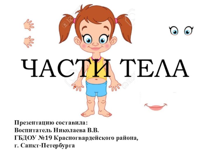 ЧАСТИ ТЕЛАПрезентацию составила:Воспитатель Николаева В.В.ГБДОУ №19 Красногвардейского района, г. Санкт-Петербурга